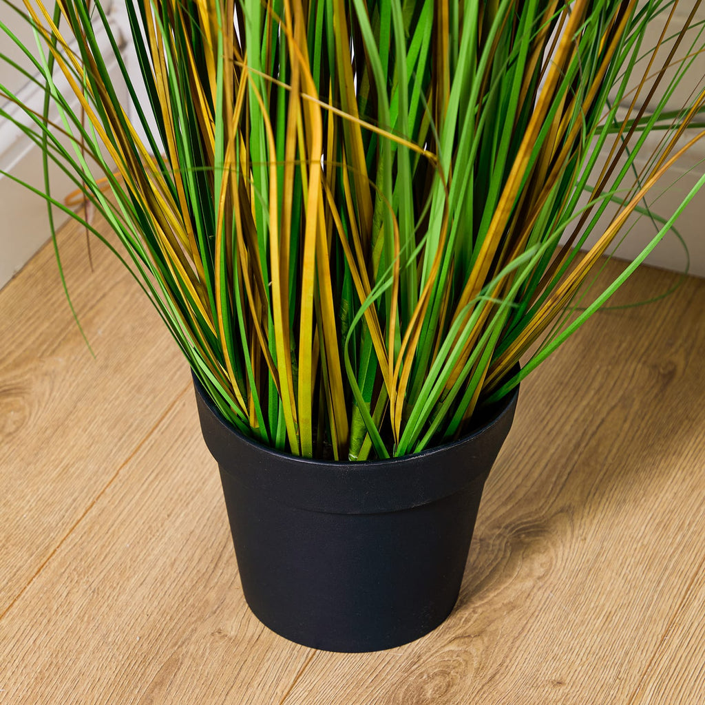 Home Collections Pamper Grass, product image 3