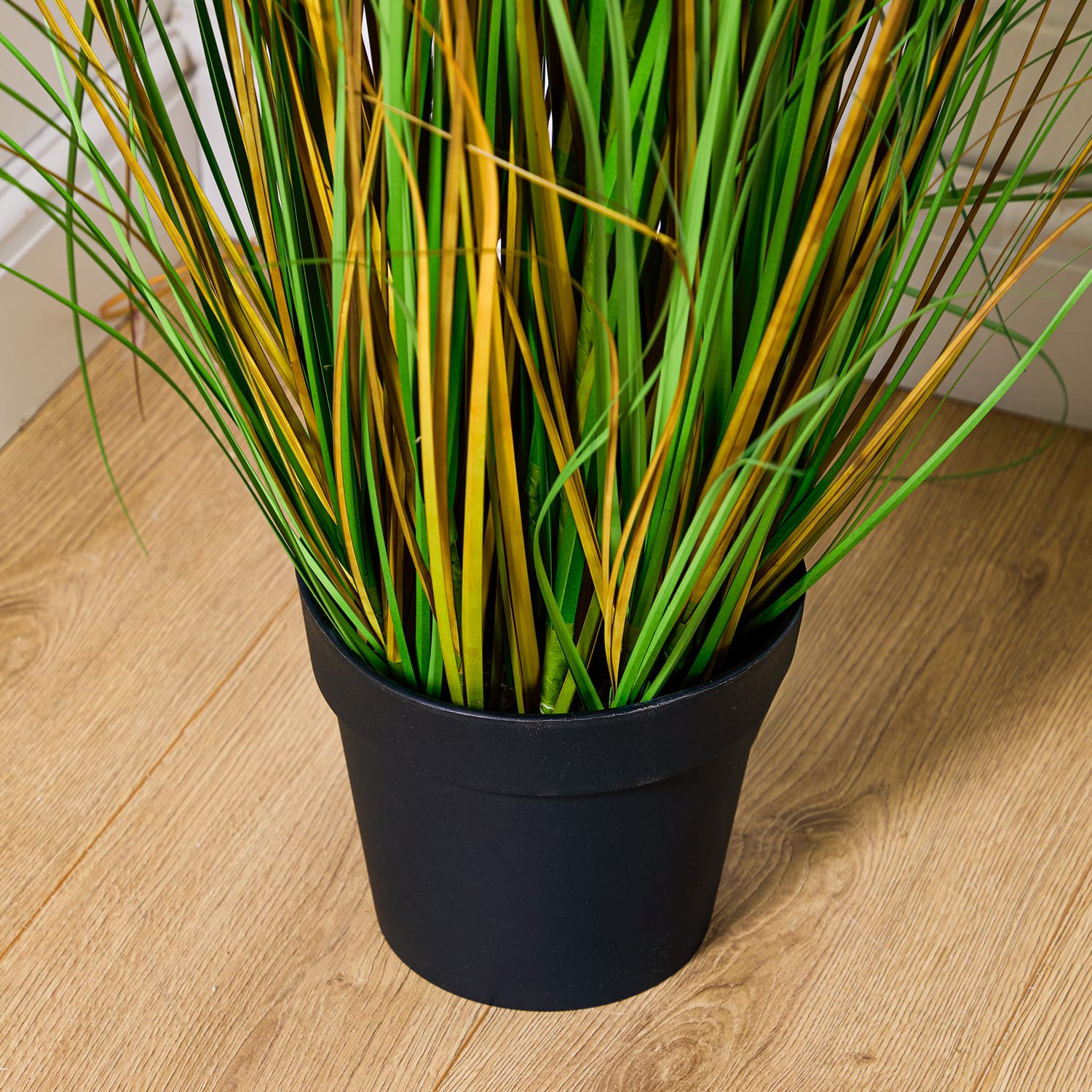 Home Collections Pamper Grass, product image 3